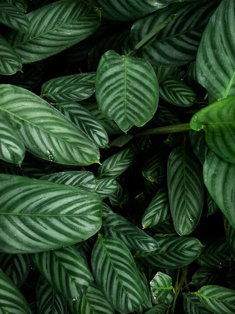 Équipe sur le terrain