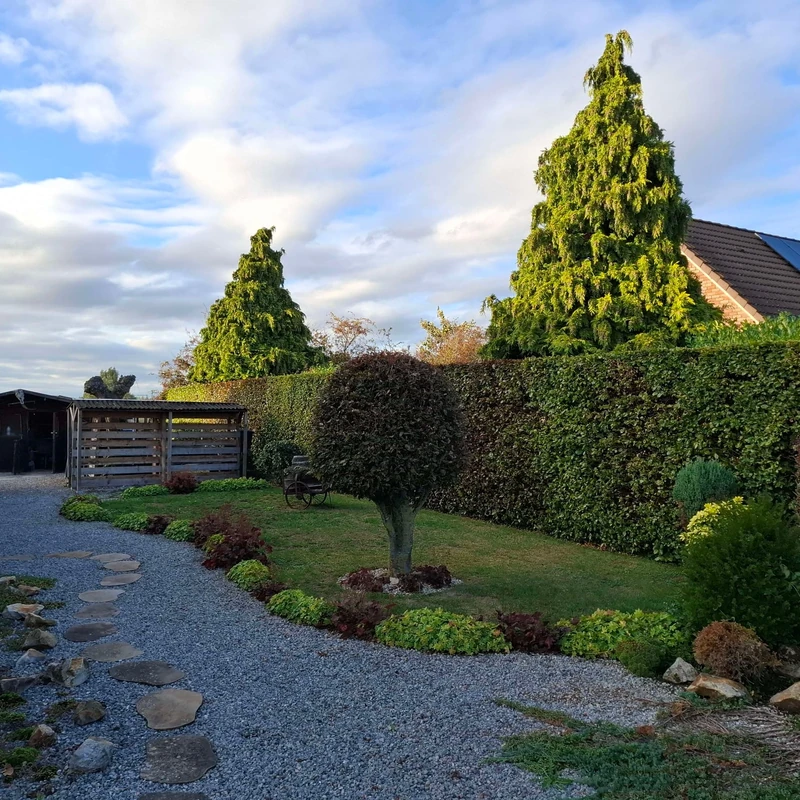 Service Création de massifs & plantations