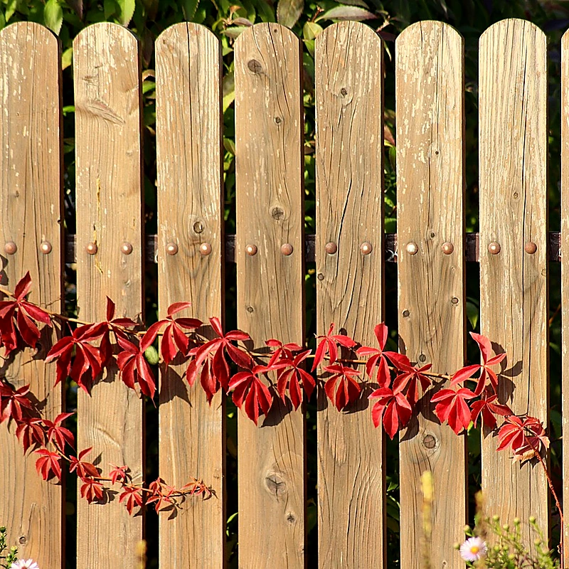 Service Pose de clôture